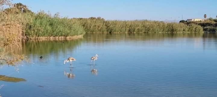 Vera Natura Apartamento Laura Apartman Kültér fotó