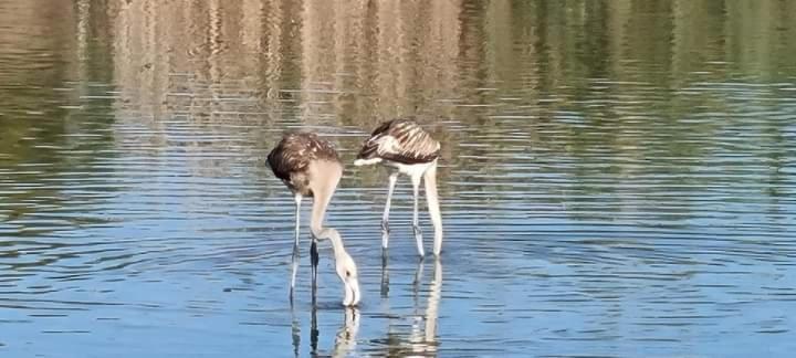 Vera Natura Apartamento Laura Kültér fotó